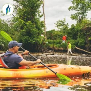 Read more about the article Salt Crisis in U.S. Rivers: A Growing Environmental Concern