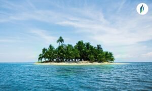 Top 10 Largest Islands in the World
