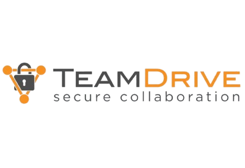 Team Drive Featured logo