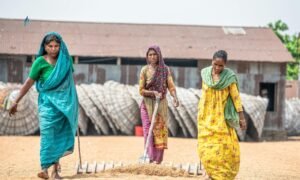 Read more about the article Tamil Nadu Launches Startup Communities to Boost Rural Innovation in Erode District